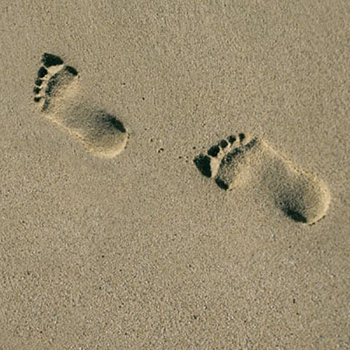 Footprint-500x500